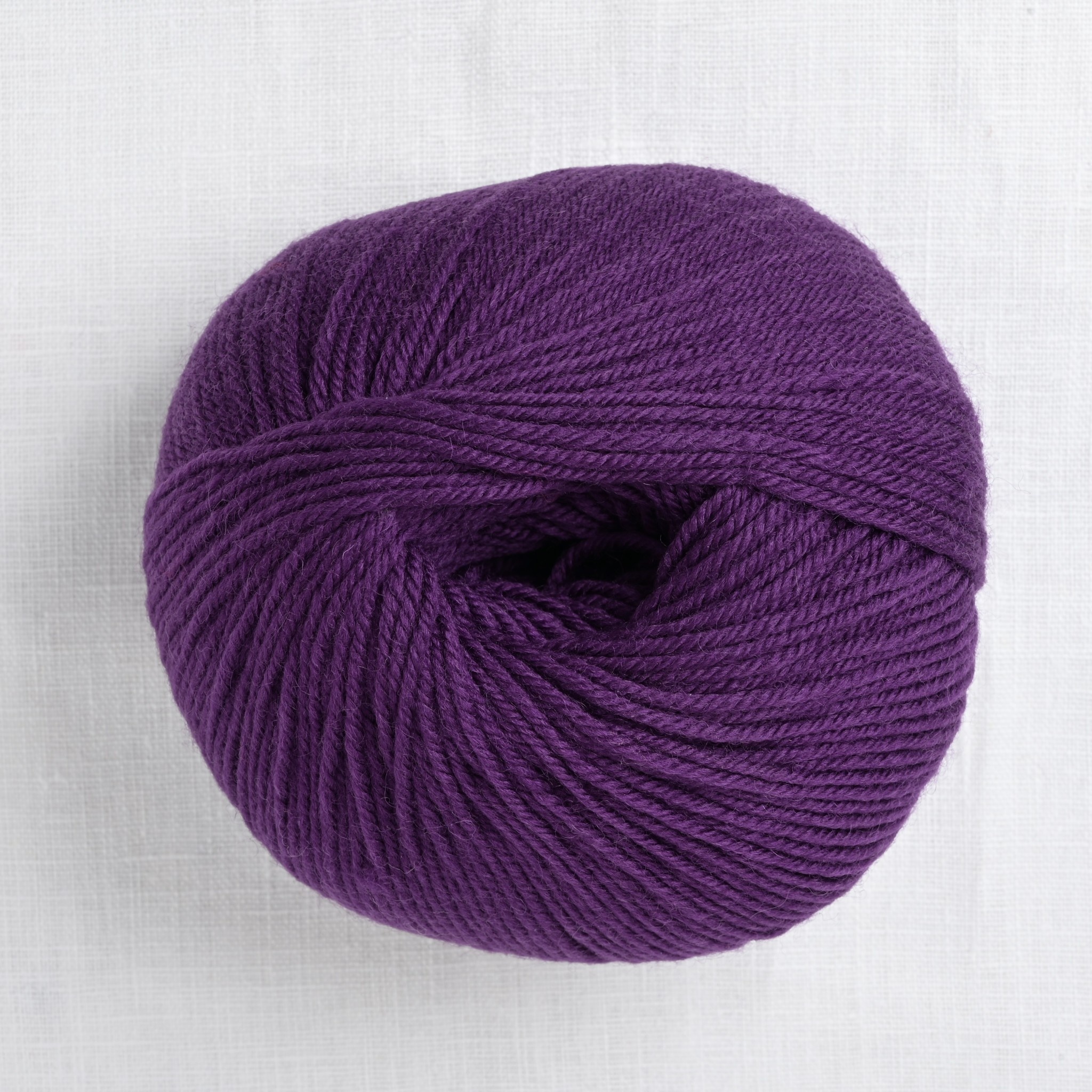 Cascade 220 Superwash 283 Plum Purple - Wool and Company Fine Yarn