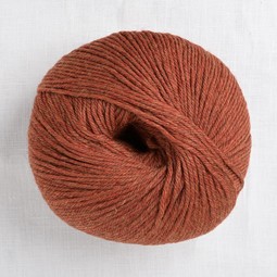 Image of Cascade 220 Superwash 297 Copper Heather