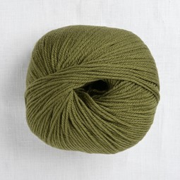 Image of Cascade 220 Superwash 312 Avocado