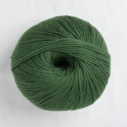 Image of Cascade 220 Superwash 801 Army Green