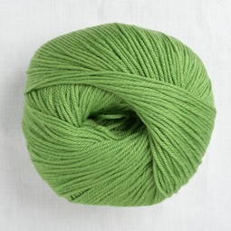 Image of Cascade 220 Superwash 802 Green Apple