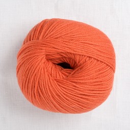 Image of Cascade 220 Superwash 822 Pumpkin