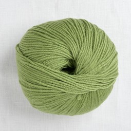 Image of Cascade 220 Superwash 841 Moss
