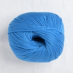 Image of Cascade 220 Superwash 848 Blueberry