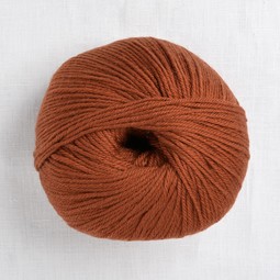 Image of Cascade 220 Superwash 858 Dark Ginger