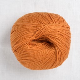 Image of Cascade 220 Superwash 876 Sandalwood