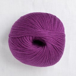 Image of Cascade 220 Superwash 882 Plum Crazy (Discontinued)