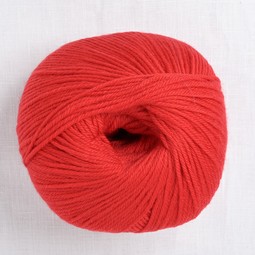 Image of Cascade 220 Superwash 808 Sunset Orange