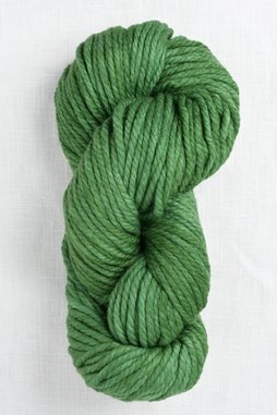 Image of Malabrigo Chunky 117 Verde Adriana