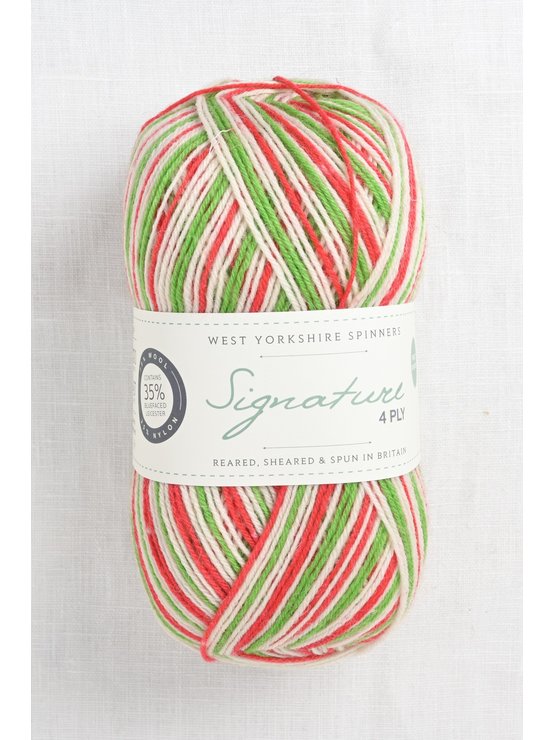 WYS Signature 4 Ply 989 Candy Cane Wool and Company Fine Yarn