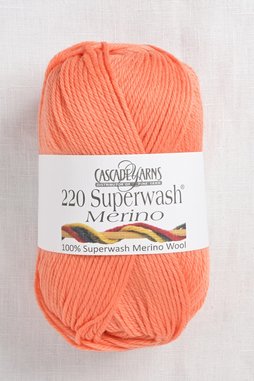 Image of Cascade 220 Superwash Merino 07 Bird of Paradise
