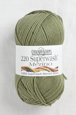 Image of Cascade 220 Superwash Merino 58 Iguana