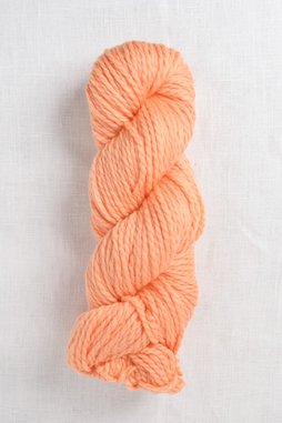 Image of Cascade 128 Superwash 304 Peach Cobbler