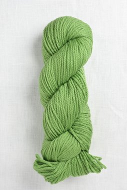 Image of Cascade 220 Superwash Aran 802 Green Apple (Discontinued)