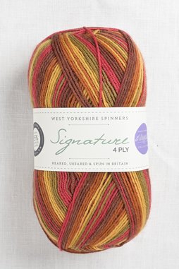 Image of WYS Signature 4 Ply 885 Autumn Leaves