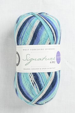Image of WYS Signature 4 Ply 878 Winter Icicle