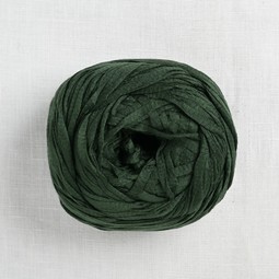 Image of Wool and the Gang Tina Tape Yarn 35 Fern Green (Closeout)