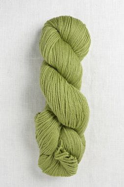 Image of Cascade 220 1051 Fern