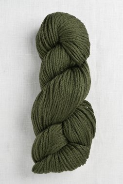 Image of Cascade 220 Superwash Aran 336 Chive