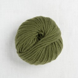 Image of Pascuali Cashmere Worsted 46 Algae (Discontinued)