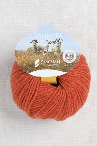 Pascuali Cashmere 6/28