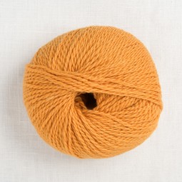 Image of Pascuali Tibetan 118 Kumquat (Discontinued)