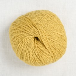 Image of Pascuali Tibetan 120 Mustard (Discontinued)