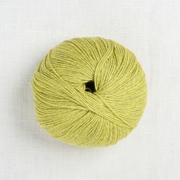 Image of Pascuali Puno Winikunka 63 Fern