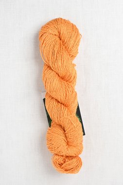 Image of Pascuali Nepal 14 Kumquat (Discontinued)