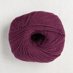 Image of Berroco Renew 1347 Chameleon (Limited Edition)