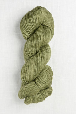Image of Cascade 220 Superwash Fingering 58 Iguana
