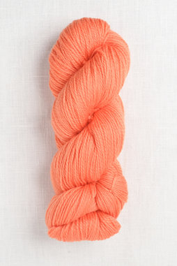 Image of Cascade 220 Superwash Fingering 07 Bird of Paradise