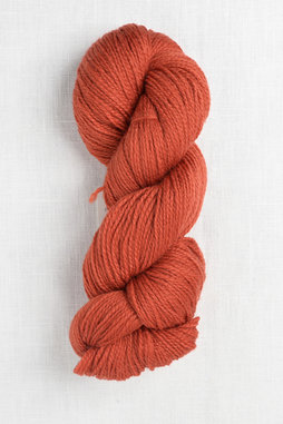 Image of Cascade 220 Superwash Fingering 06 Burnt Orange