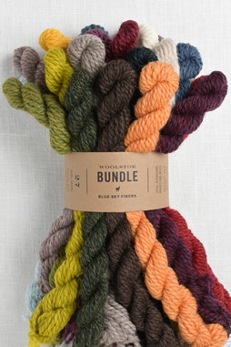 Image of Blue Sky Fibers Woolstok Bundle 27 Color Bundle