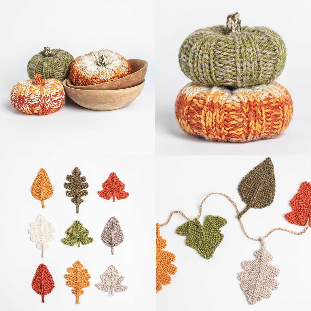 Fall Leaves and Pumpkin Patches