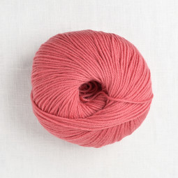 Image of Cascade 220 Superwash 364 Faded Rose