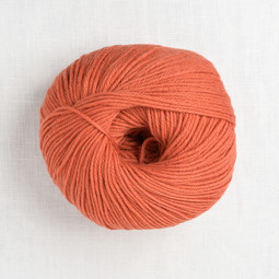 Image of Cascade 220 Superwash 366 Pureed Pumpkin