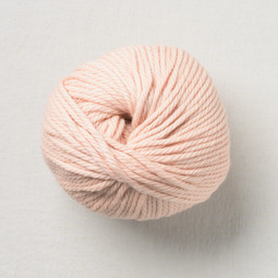 Image of Pascuali Maximo 406 Powder