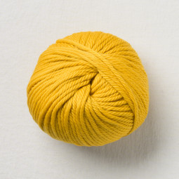 Image of Pascuali Maximo 422 Curry