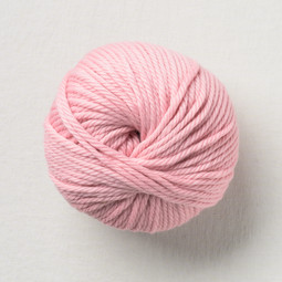 Image of Pascuali Maximo 410 Rose