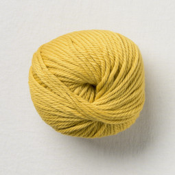 Image of Pascuali Maximo 421 Khaki