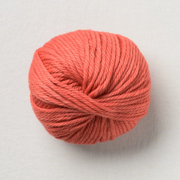 Image of Pascuali Maximo 407 Sahara