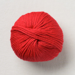 Image of Pascuali Maximo 409 Cherry