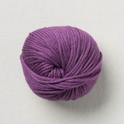 Image of Pascuali Maximo 412 Grape