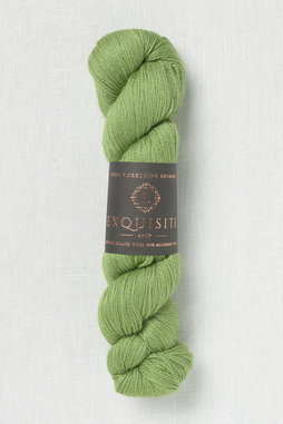 Image of WYS Exquisite 4 Ply 401 Eden