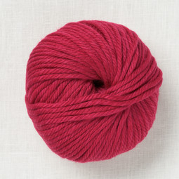 Image of Pascuali Maximo 427 Raspberry