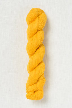 Image of Pascuali Alpaca Lace 40 Curry