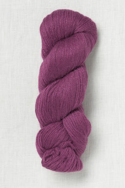 Image of Juniper Moon Farm Herriot 1079 Verbena (Discontinued)