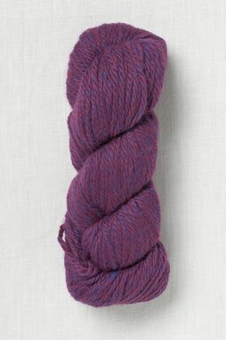 Image of Juniper Moon Farm Herriot Great 143 Clematis (Discontinued)