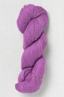 Image of Juniper Moon Farm Herriot Fine 2042 Phlox (Discontinued)